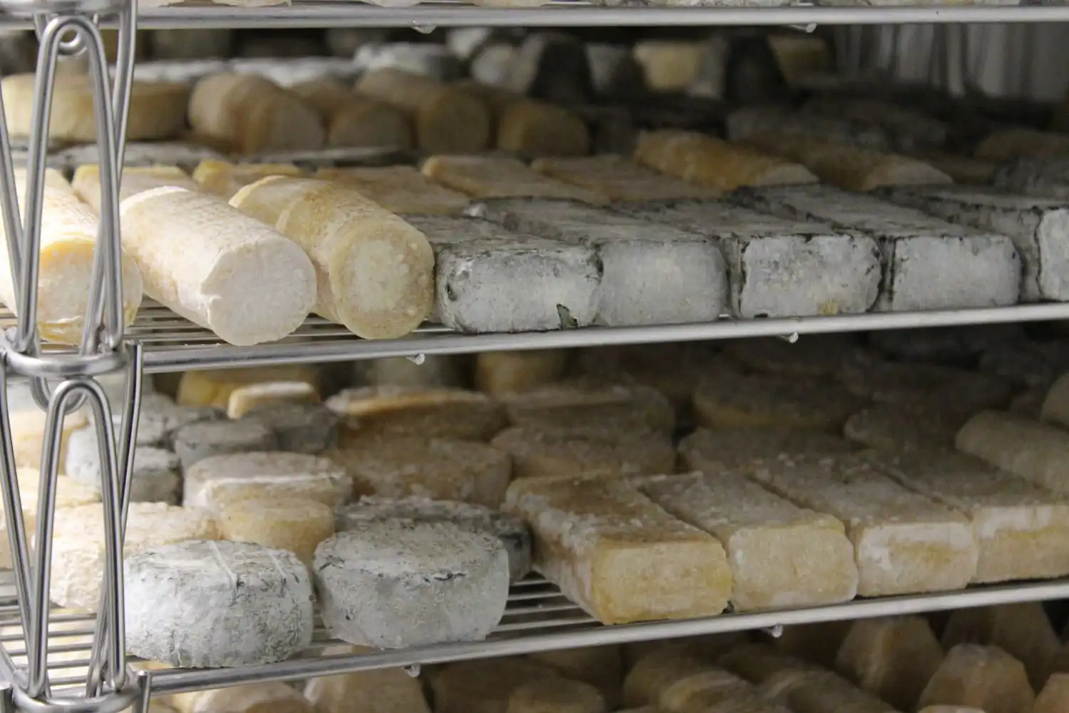 Fromage frais ou affiné : lequel choisir ?